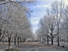 IMGW wydało ostrzeżenie pierwszego stopnia
