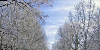 IMGW wydało ostrzeżenie pierwszego stopnia