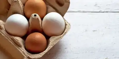 Jak długo gotować jajka na twardo i na miękko?