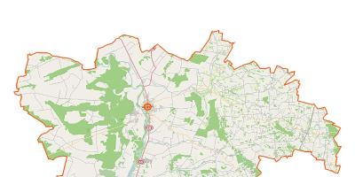 Kandydaci na wójtów w gminach w powiecie pułtuskim. Wybory samorządowe 2024