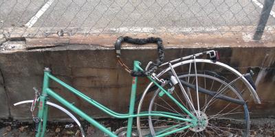 U sąsiadów: Uderzyła w bok ciężarówki rowerem, niestety nie przeżyła