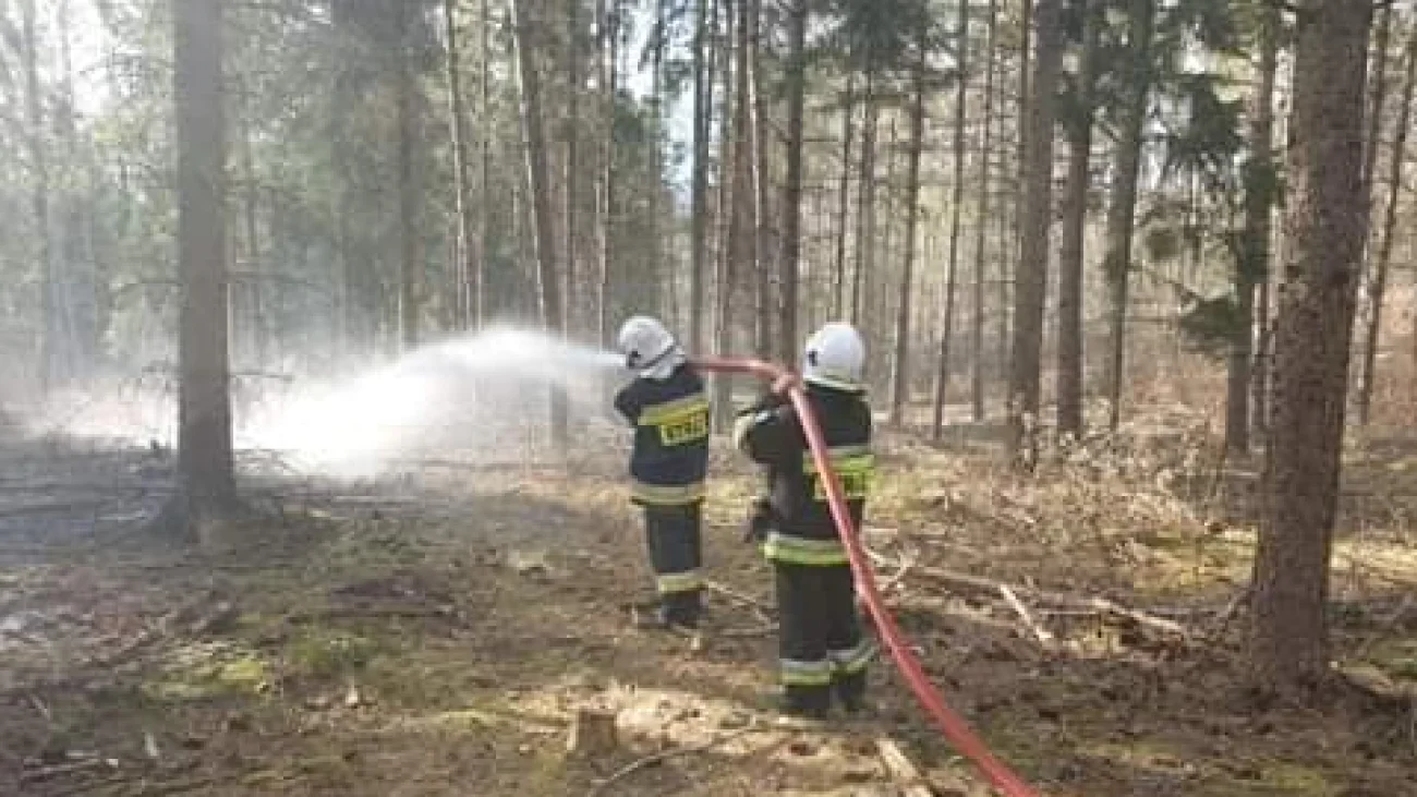 Płoną lasy i trawy w powiecie pułtuskim. Powody to sucha wiosna i nieodpowiedzialni ludzie