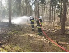 Płoną lasy i trawy w powiecie pułtuskim. Powody to sucha wiosna i nieodpowiedzialni ludzie