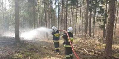 Płoną lasy i trawy w powiecie pułtuskim. Powody to sucha wiosna i nieodpowiedzialni ludzie