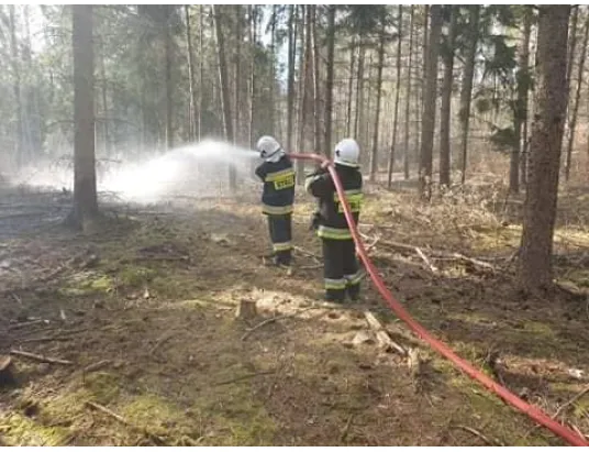 Płoną lasy i trawy w powiecie pułtuskim. Powody to sucha wiosna i nieodpowiedzialni ludzie