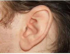 Narodowy Test Słuchu 2014 w Pułtusku