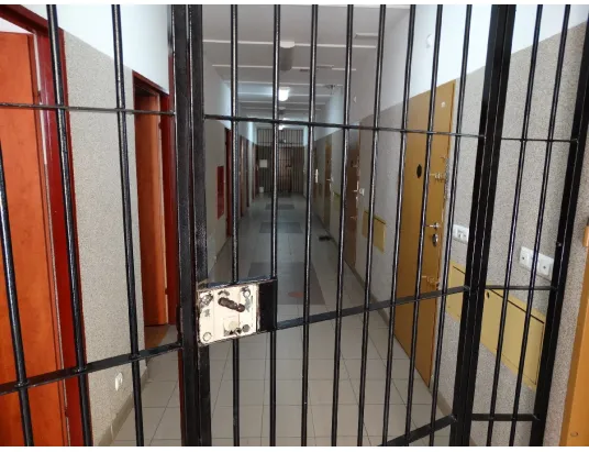 61-letnia agresorka z Pułtuska tymczasowo aresztowana