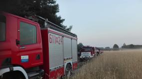 Pożary traw i inne zdarzenia - Kronika strażacka PSP Pułtusk