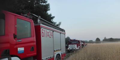 Coraz więcej pożarów - Pułtuska Kronika Strażacka 10 - 16.08.2020 r.