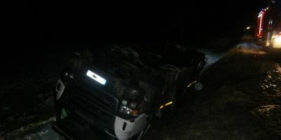 Wypadek w Pniewie. Zwierzę wyskoczyło na drogę!