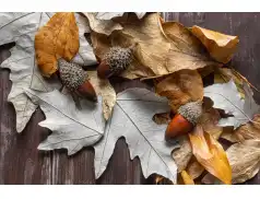 Listopadowa szarość? Oto, jak skutecznie złamać jesienną rutynę.