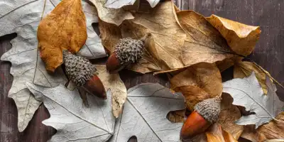 Listopadowa szarość? Oto, jak skutecznie złamać jesienną rutynę.