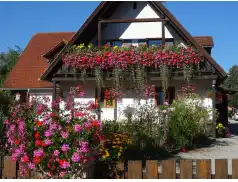 Ogrody Pułtuska 2022 - konkurs dla mieszkańców