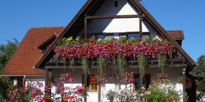 Ogrody Pułtuska 2022 - konkurs dla mieszkańców