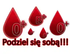 TWOJA KREW – MOJE ŻYCIE - możesz pomóc oddając krew!