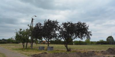 Nowe strefy zieleni i rekreacji w Pułtusku.