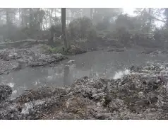 Nielegalne i mogące zagrażać zdrowiu wysypisko składowania odpadów w Gzach odkryte! [FILM, ZDJĘCIA]