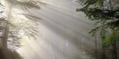 Zabójstwo pod Pokrzywnicą prawie rozwiązane - zabójcy zatrzymani