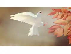 Międzynarodowy Dzień Pokoju - historia i znaczenie.