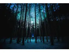 Ekstremalna Droga Krzyżowa w Pułtusku