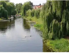 Modernizacja kanałów w Pułtusku