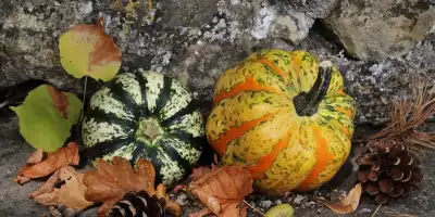 Kolorowa jesień w ogrodzie. Wrześniowe porady ogrodnicze.