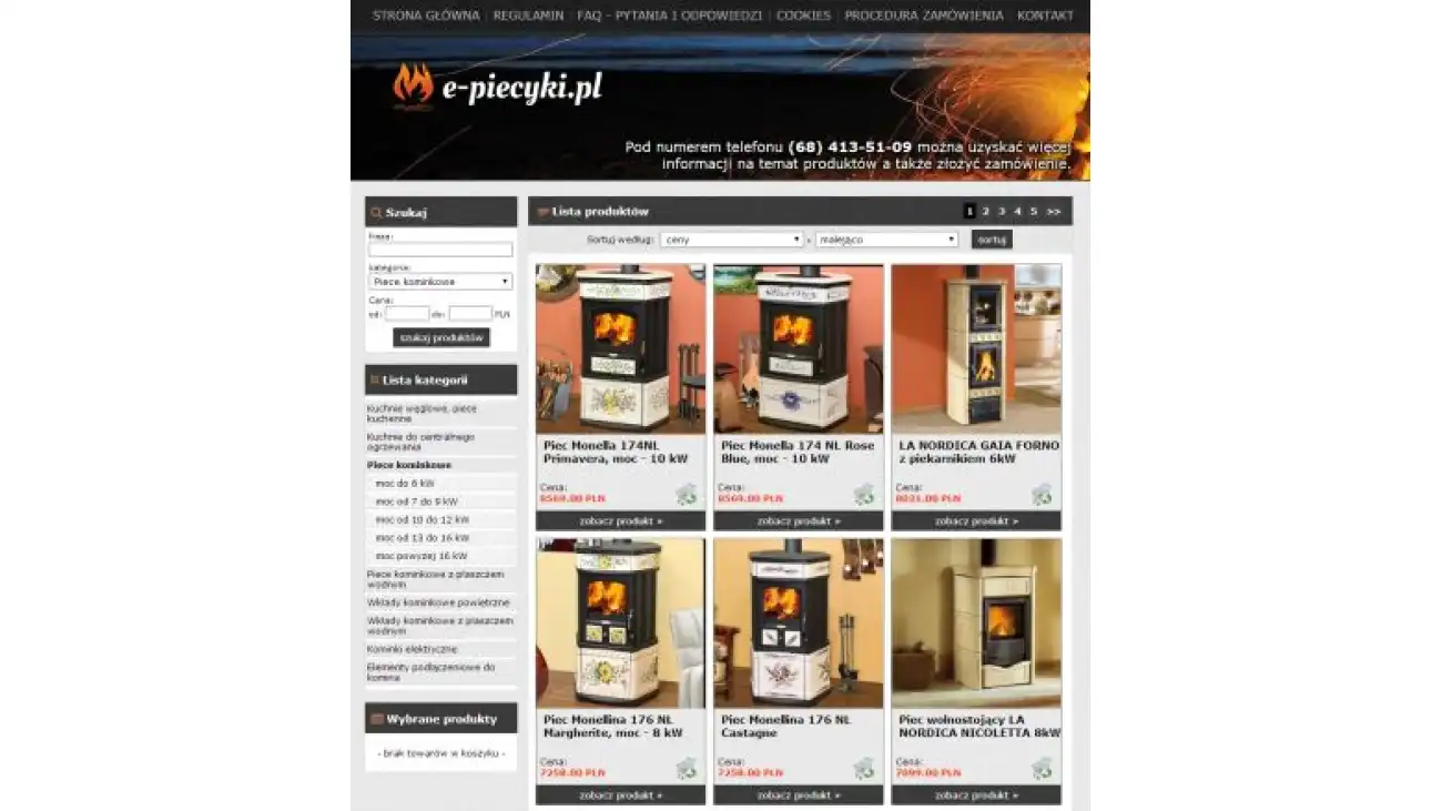 Programista, usługi programistyczne