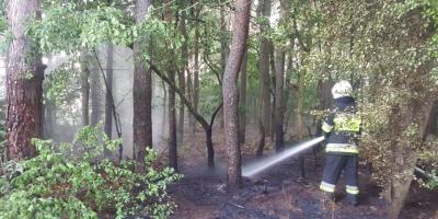 Wakacyjna kronika strażacka PSP Pułtusk