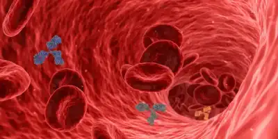 Cholesterol. Jak obniżyć jego poziom dietą? Lista produktów