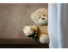 Dzień pluszowego misia 25.11.2022