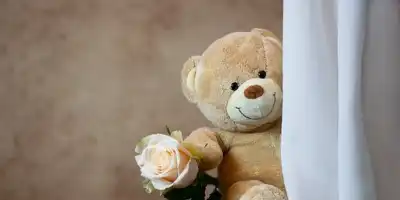 Dzień pluszowego misia 25.11.2022