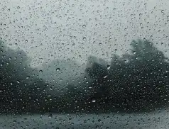 58 zdarzeń - Pułtuska Kronika Strażacka 24 - 30.08.2020 r.