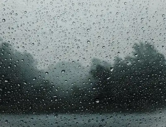 58 zdarzeń - Pułtuska Kronika Strażacka 24 - 30.08.2020 r.