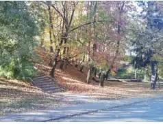 Pułtuska Jesień 2018 [ZDJĘCIA]