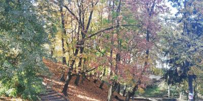 Pułtuska Jesień 2018 [ZDJĘCIA]