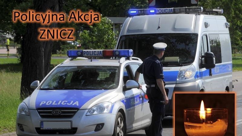Pułtusk. Policyjna akcja ZNICZ 2017
