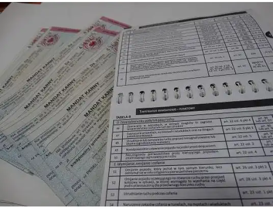Ukradła wódkę za 18,40 dostała mandat na 500 zł