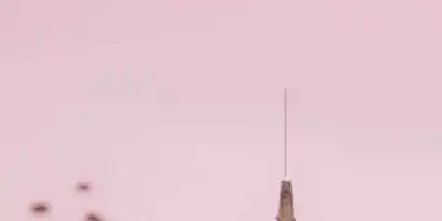 Medycyna estetyczna w Toruniu: botox i osocze bogatopłytkowe