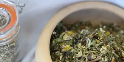 Piołunowa moc w butelce. Sekrety nalewki z ziół