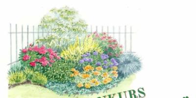 Trwa konkurs - Ogrody Pułtuska 2023. Wygraj atrakcyjne magrody