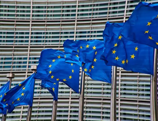 Wybory do Parlamentu Europejskiego 2019. Lista kandydatów z Mazowsza