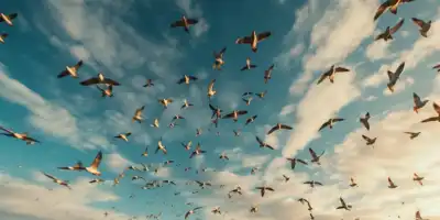 Wędrowne cienie nieba. Fascynujący świat ptasich podróży.