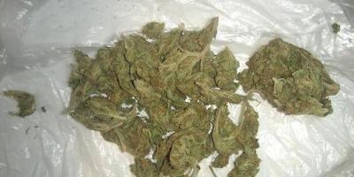 19 - latek zatrzymany za posiadanie marihuany 