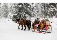 Katarzynki. Polski zwyczaj, który przynosi przepowiednie męskiego przeznaczenia