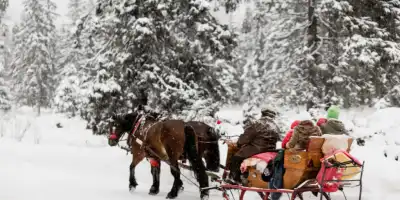 Katarzynki. Polski zwyczaj, który przynosi przepowiednie męskiego przeznaczenia