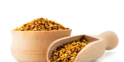 Złoty skarb pszczół. Właściwości prozdrowotne propolisu odkryte na nowo