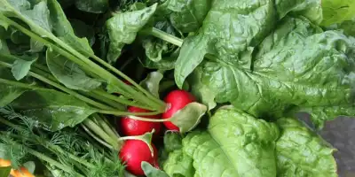 Co to są nowalijki? Co z nich przyrządzić? 