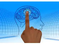 Co zrobić by mózg był sprawny przez długie lata? – cenne porady