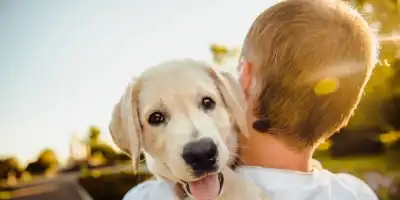 Dzień Psa. Historia dnia psa