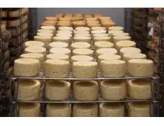 Ser z gminy Pokrzywnica z nagrodą w Mazowieckim Konkursie Serów Zagrodowych 2021